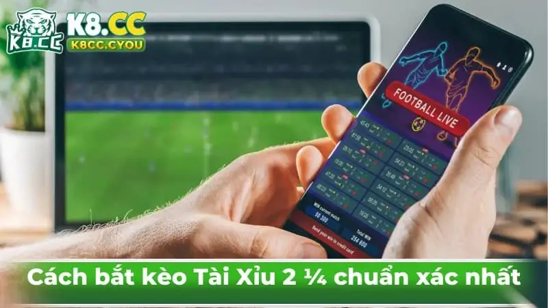 Cách bắt kèo Tài Xỉu 2 ¼ chuẩn xác nhất